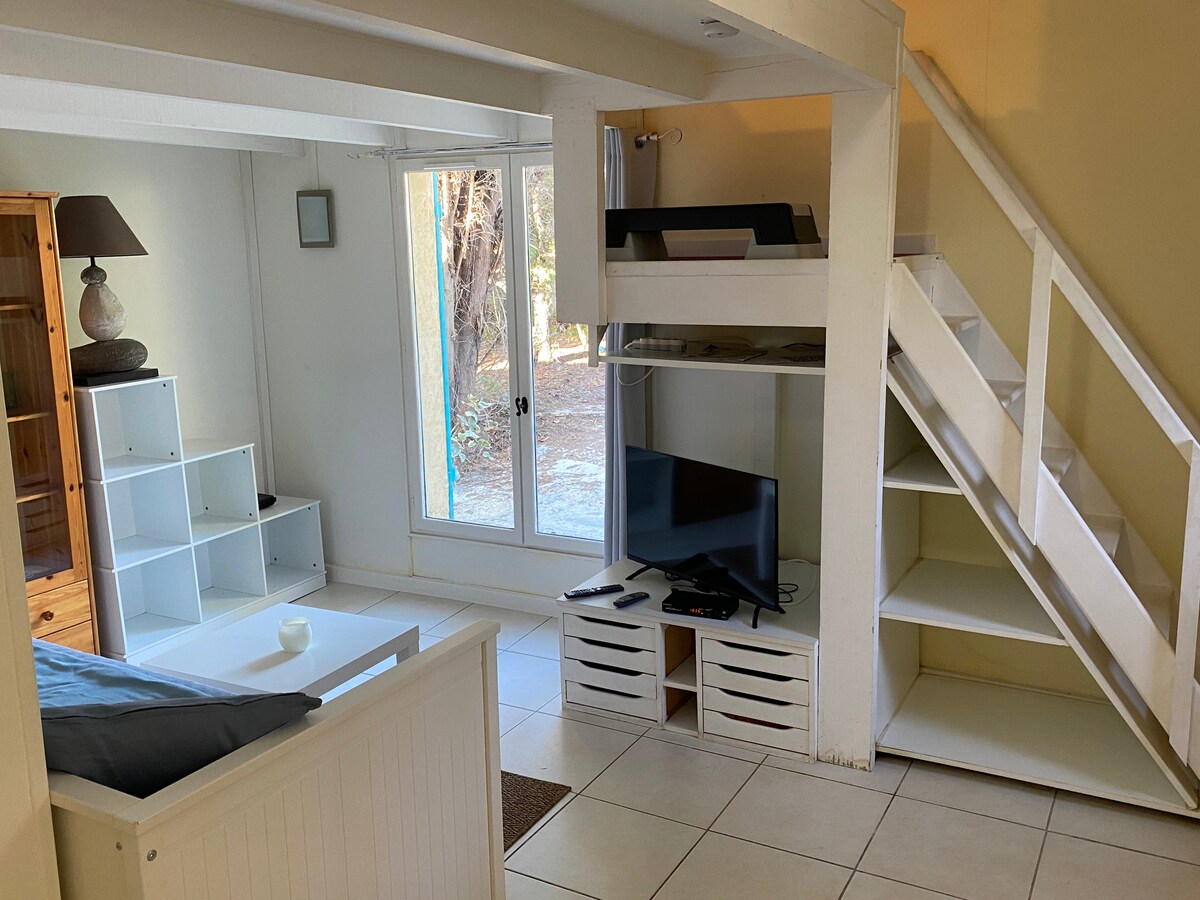 Grand studio climatisé avec mezzanine — photo 3